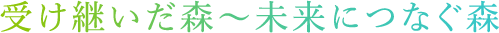 受け継いだ森~未来につなぐ森