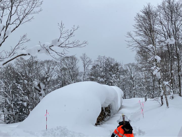 札幌管轄山林_強烈な積雪